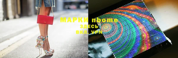стаф Арсеньев