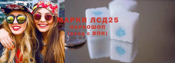 стаф Арсеньев