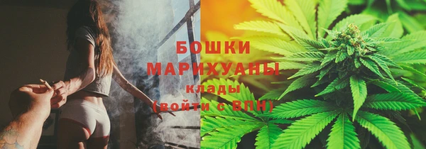стаф Арсеньев